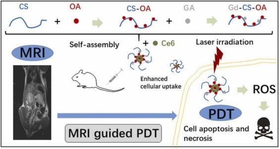 Were magnetic materials useful in cancer therapy?