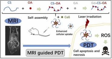 Were magnetic materials useful in cancer therapy?